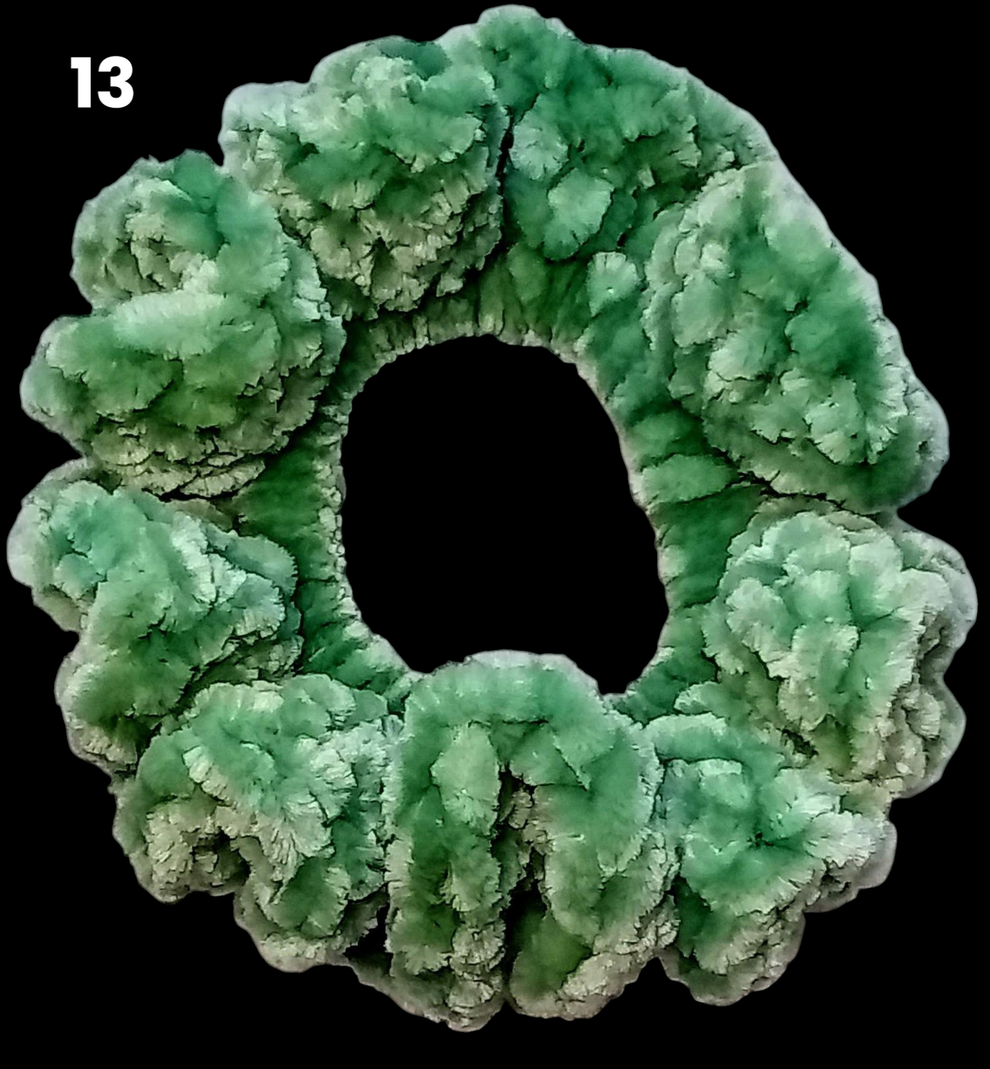 13